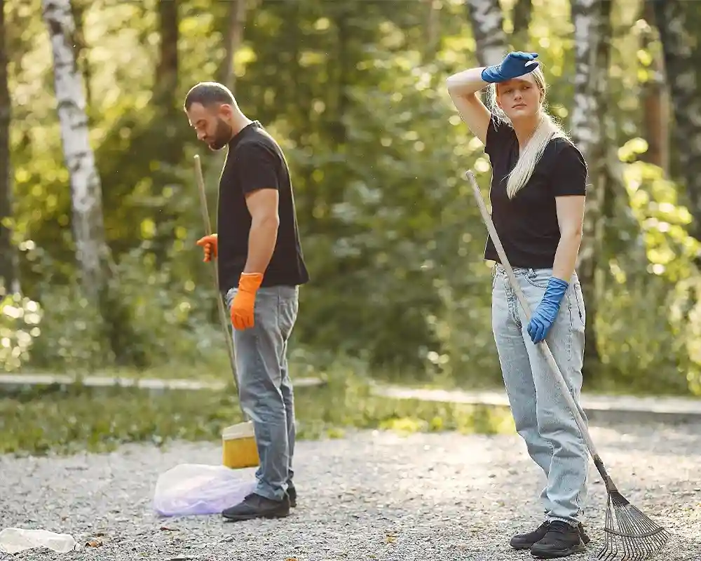 Site Cleanups